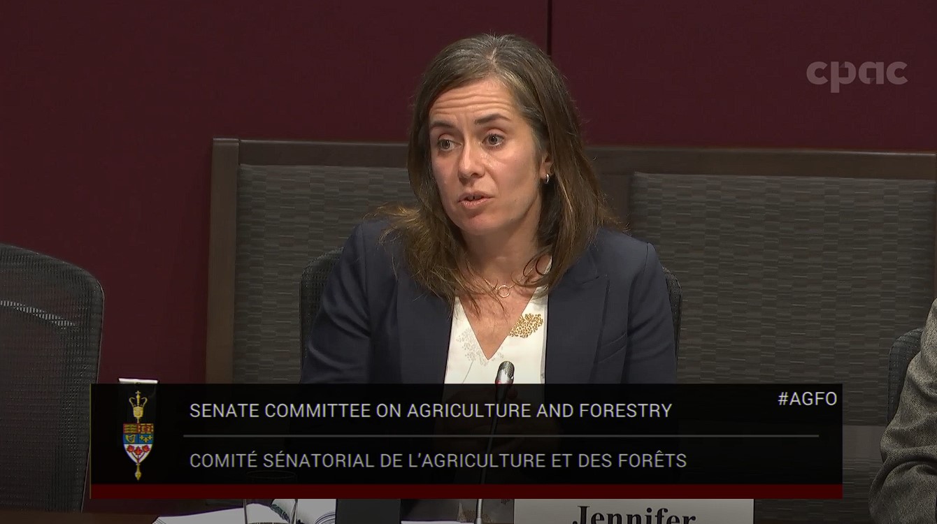In Committee from the Senate of Canada : Agriculture and Forestry – October 1, 2024