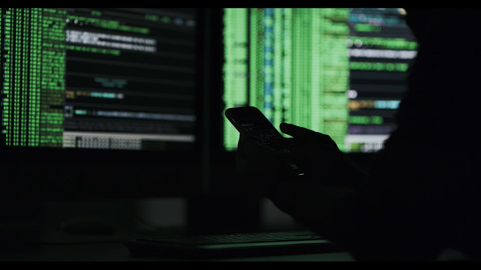 Disinformation and Democracy : Who are the Main Propagators of Disinformation?