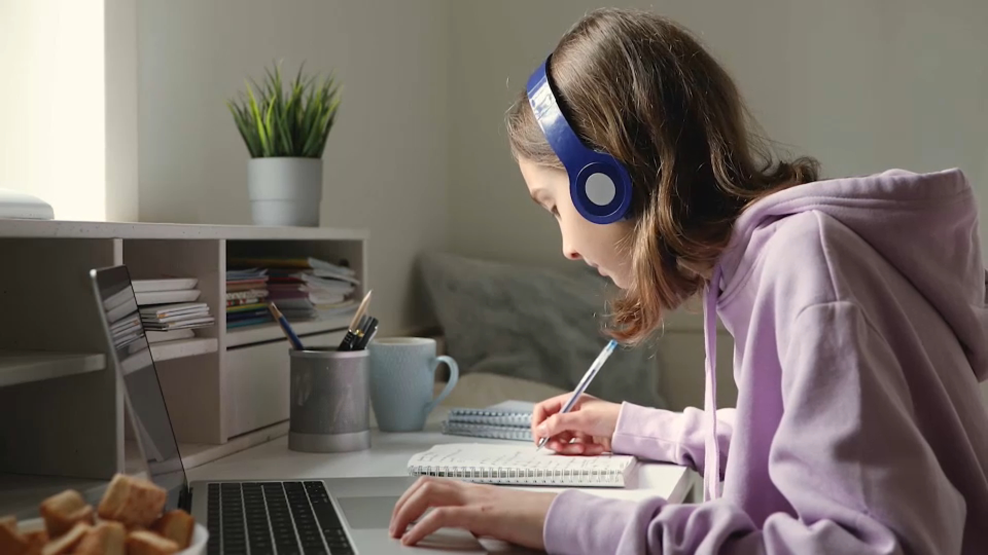 Disinformation and Democracy : What is digital resilience and how to build it?