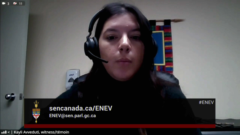 In Committee from the Senate of Canada : Energy, the Environment and Natural Resources - October 3, 2024