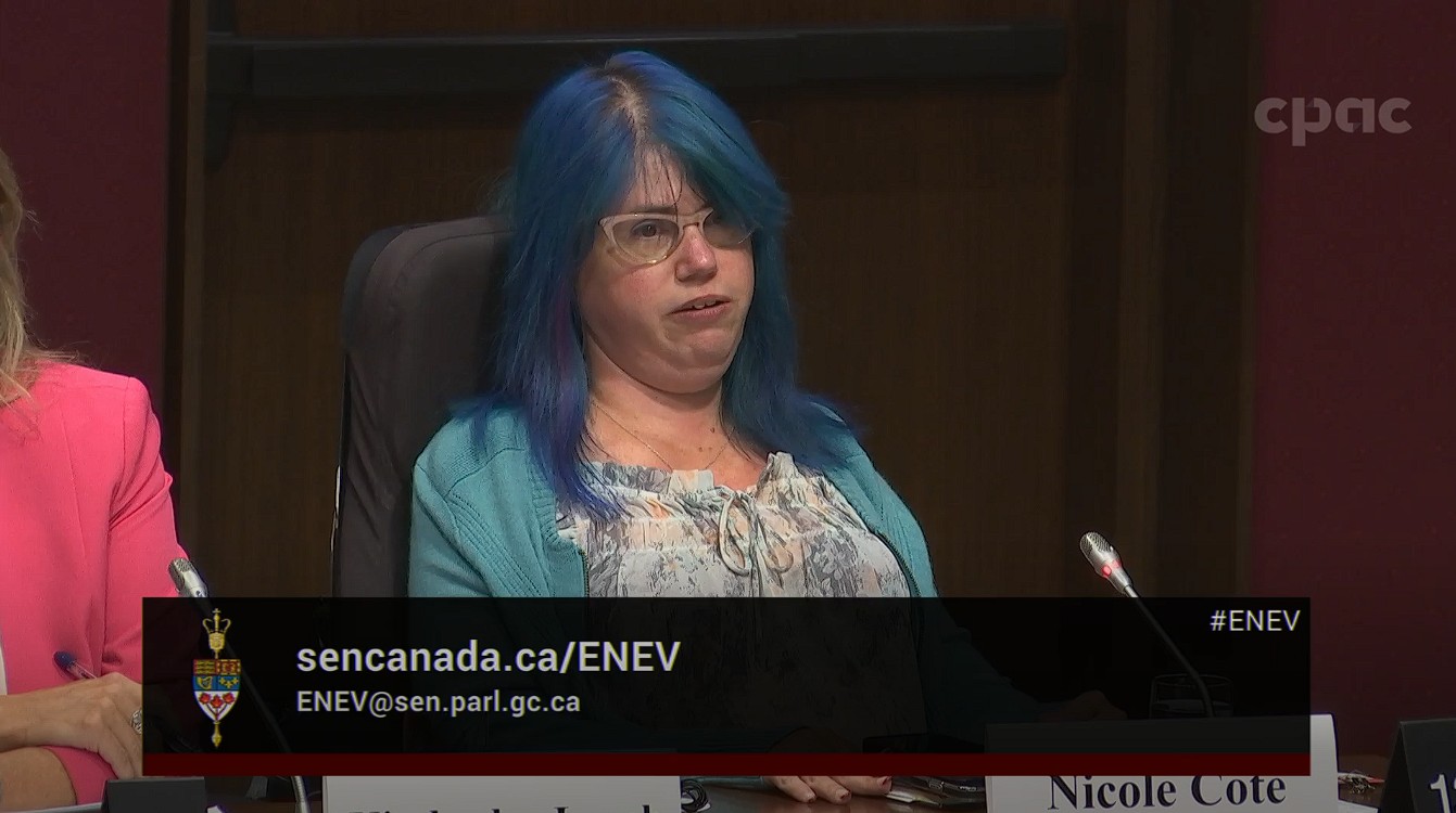 In Committee from the Senate of Canada : Energy, the Environment and Natural Resources – October 22, 2024