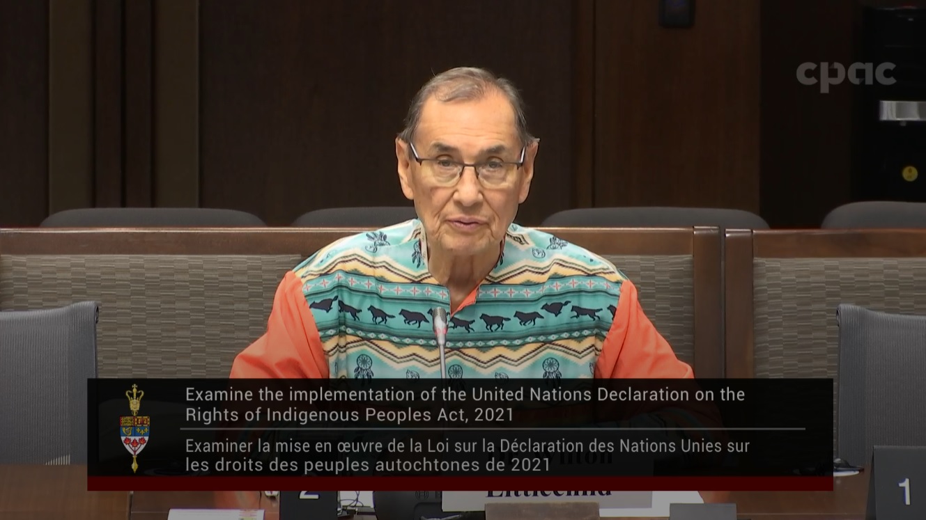 In Committee from the Senate of Canada : Indigenous Peoples – October 9, 2024