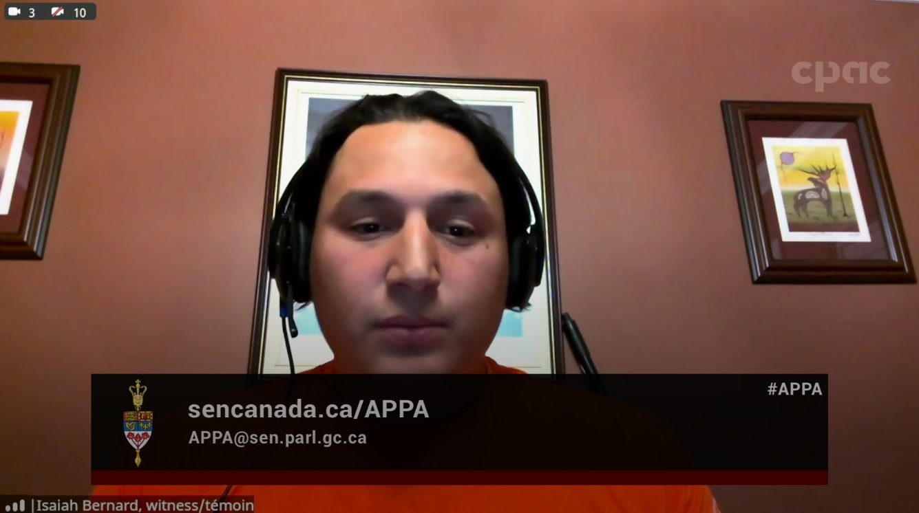 In Committee from the Senate of Canada : Indigenous Peoples – October 2, 2024