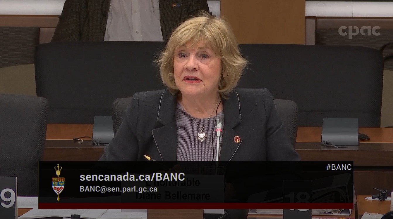 In Committee from the Senate of Canada : Banking, Commerce and the Economy – October 24, 2024
