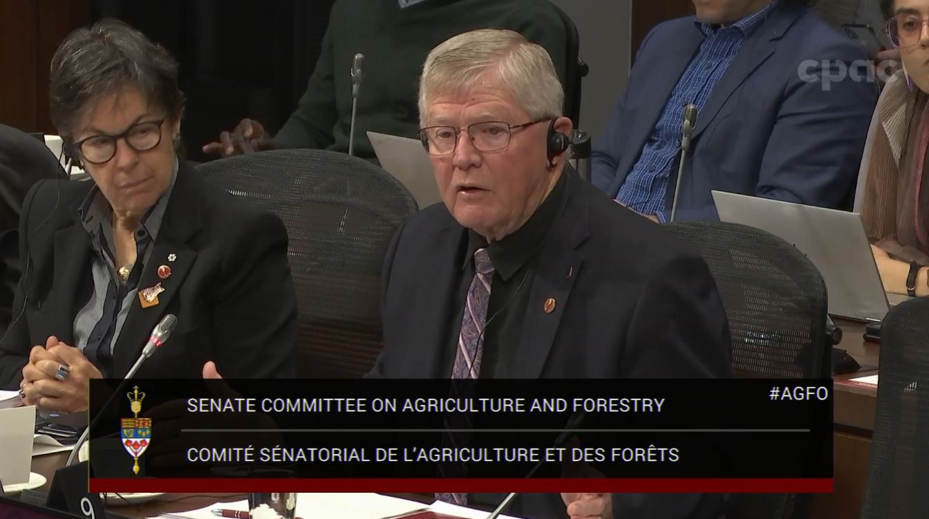 In Committee from the Senate of Canada : Agriculture and Forestry – October 24, 2024