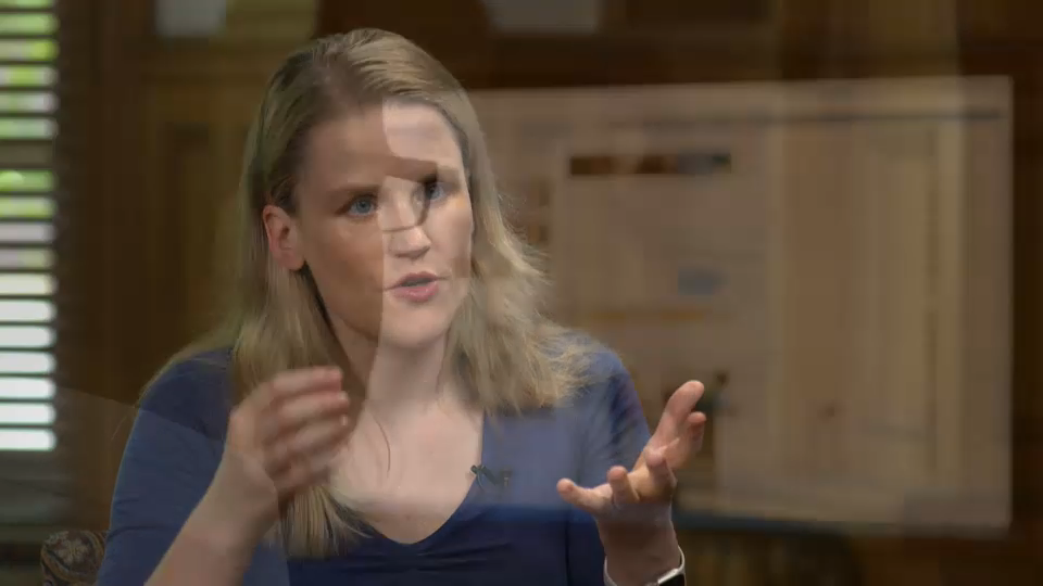 Disinformation and Democracy : How is big tech addressing disinformation?