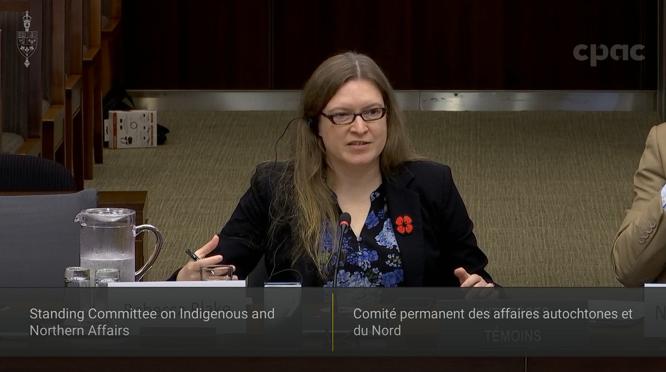 In Committee from the House of Commons : Indigenous and Northern Affairs – November 6, 2024