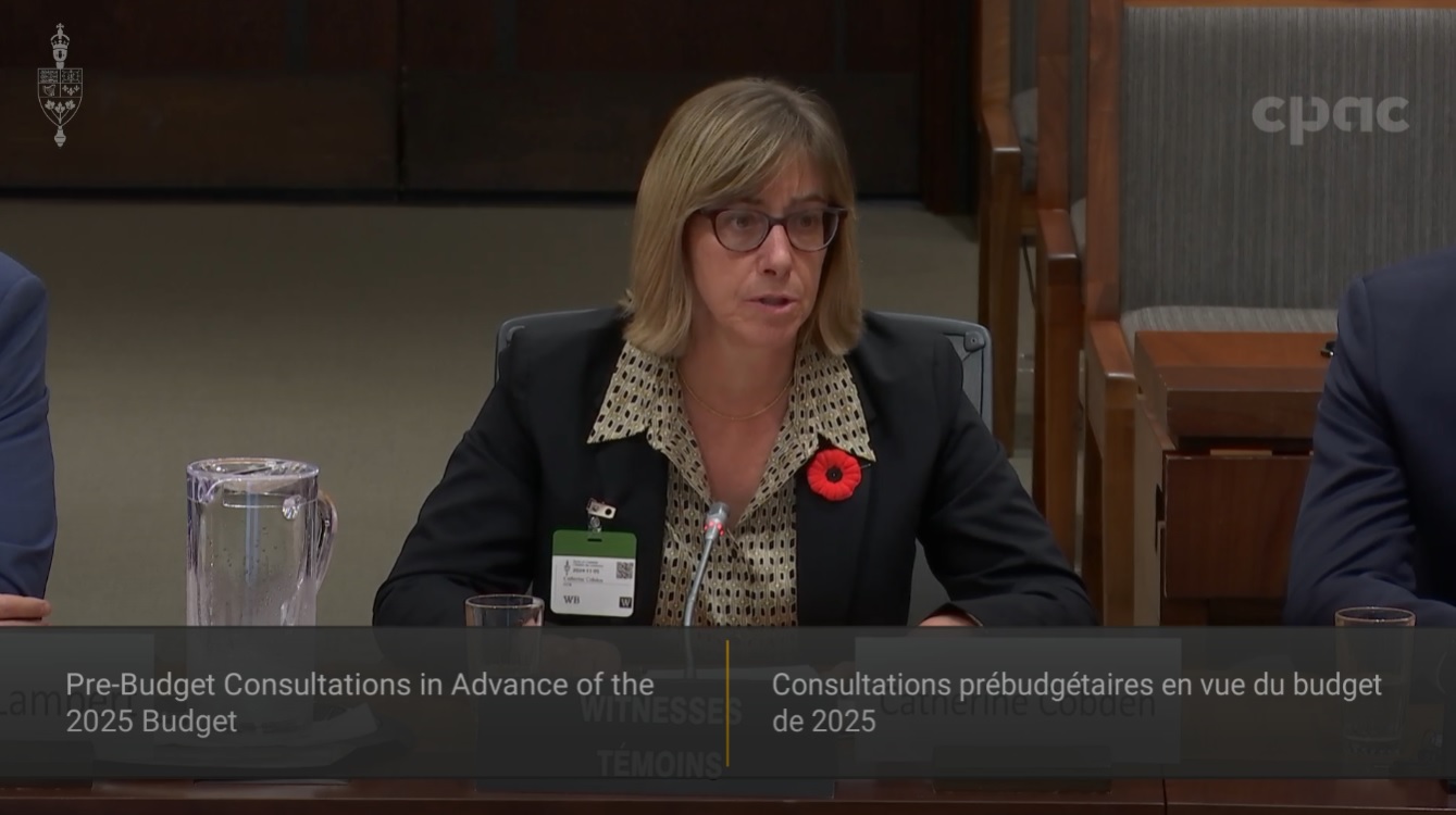 In Committee from the House of Commons : Finance – November 5, 2024