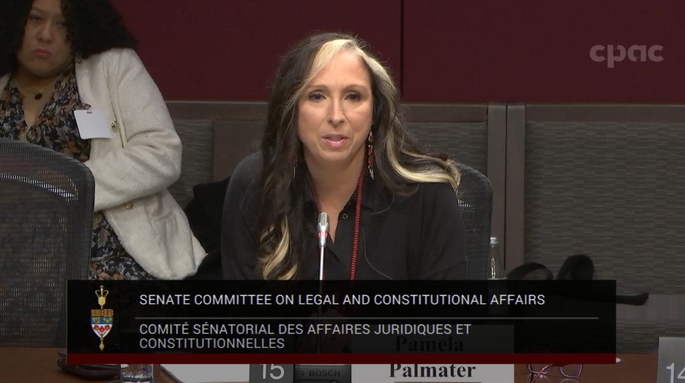 In Committee from the Senate of Canada : Legal and Constitutional Affairs – November 20, 2024