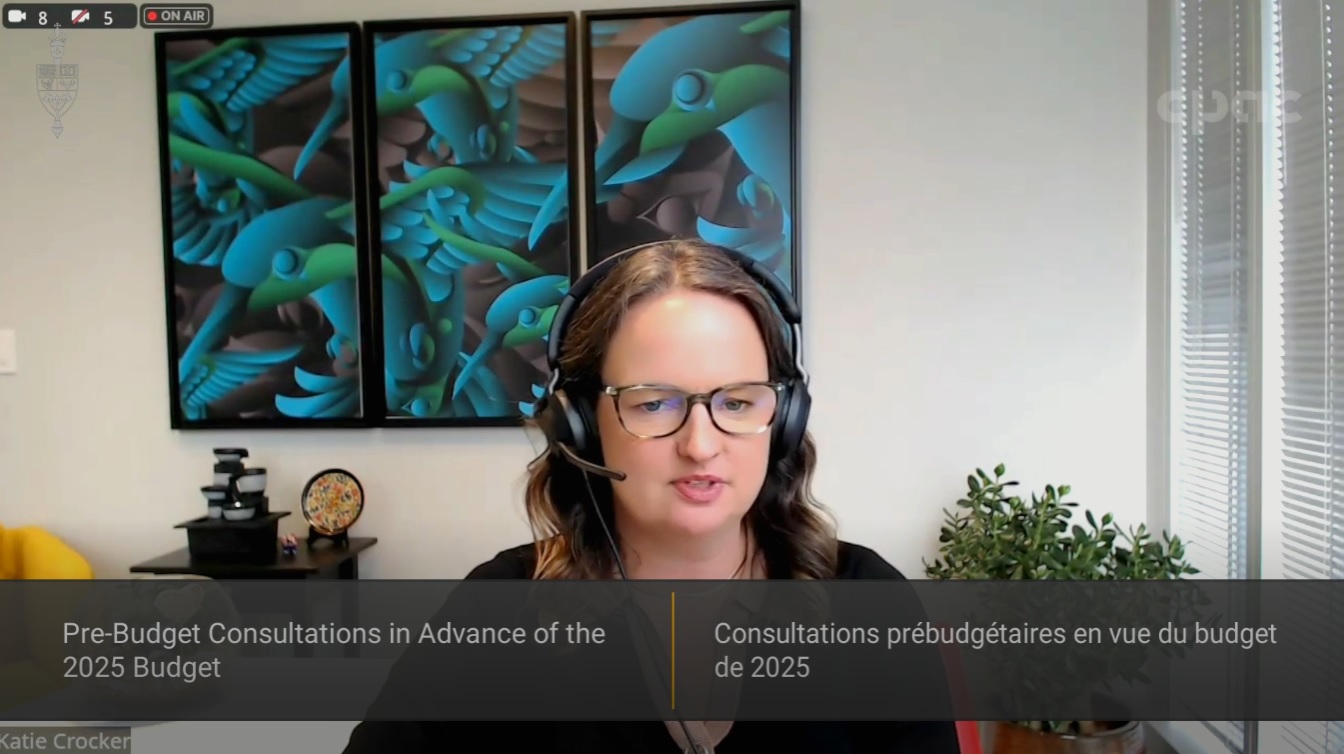 In Committee from the House of Commons : Finance – November 7, 2024