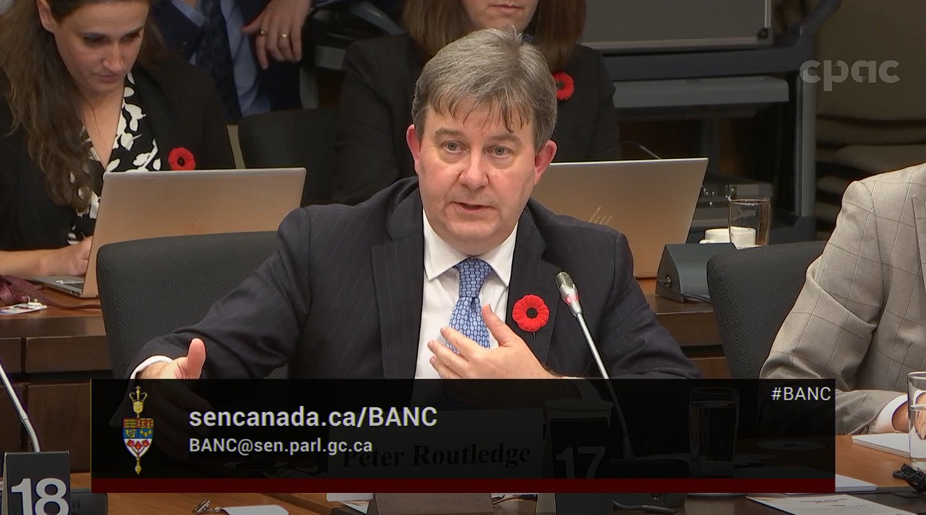 In Committee from the Senate of Canada : Banking, Commerce and the Economy – November 6, 2024