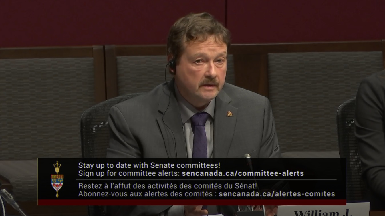In Committee from the Senate of Canada : Agriculture and Forestry – November 21, 2024