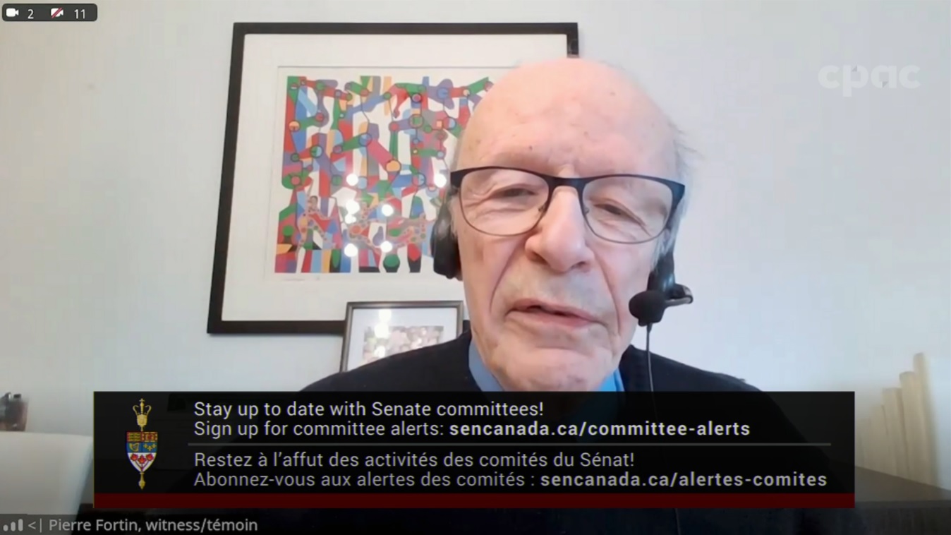 In Committee from the Senate of Canada : Banking, Commerce and the Economy – November 21, 2024