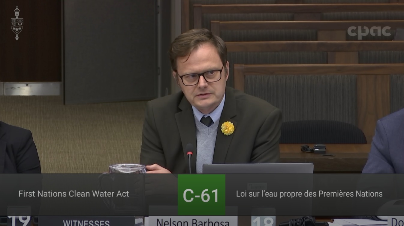 In Committee from the House of Commons : Indigenous and Northern Affairs – November 21, 2024