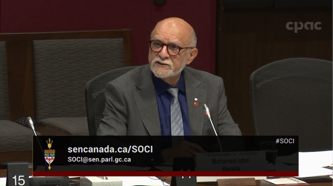 In Committee from the Senate of Canada : Social Affairs, Science and Technology – November 28, 2024