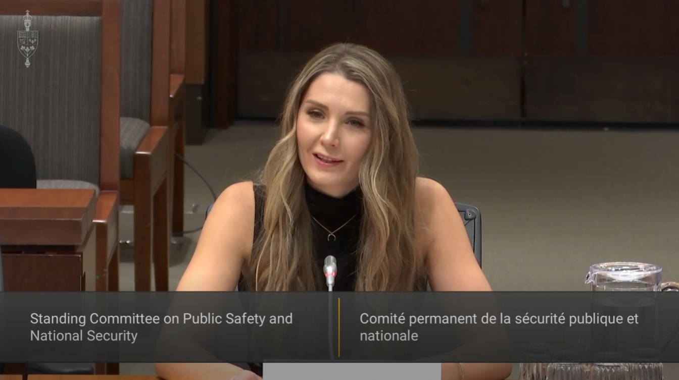 In Committee from the House of Commons : Public Safety and National Security – November 21, 2024