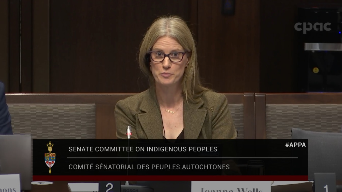 In Committee from the Senate of Canada : Indigenous Peoples – November 19, 2024