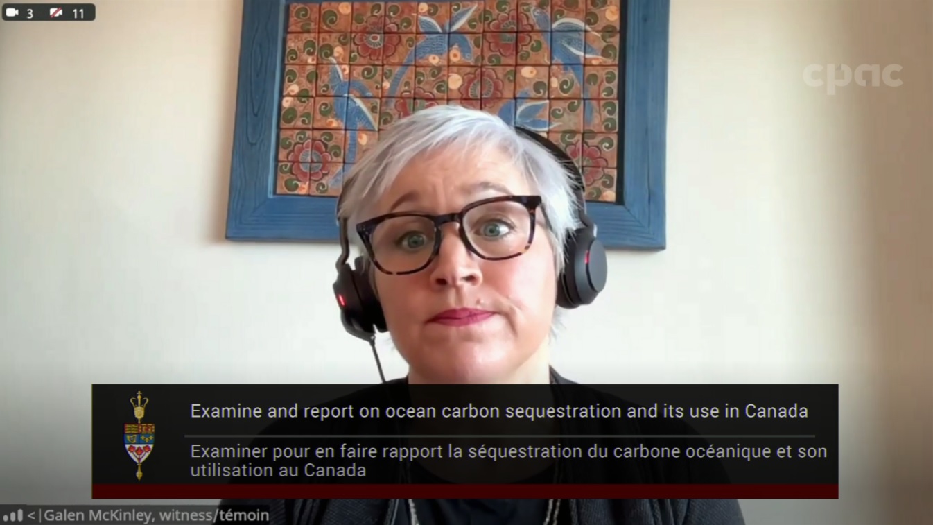 In Committee from the Senate of Canada : Fisheries and Oceans – November 7, 2024