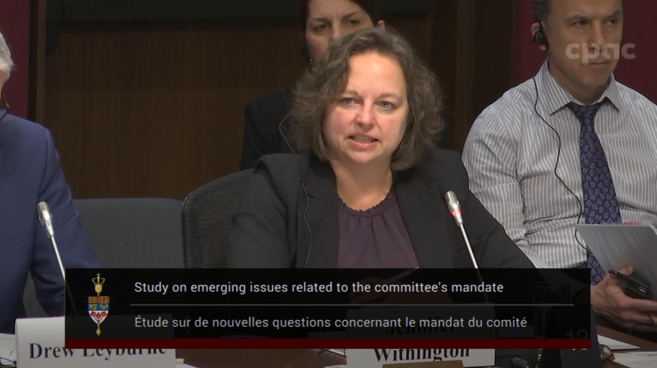 In Committee from the Senate of Canada : Energy, the Environment and Natural Resources – November 28, 2024