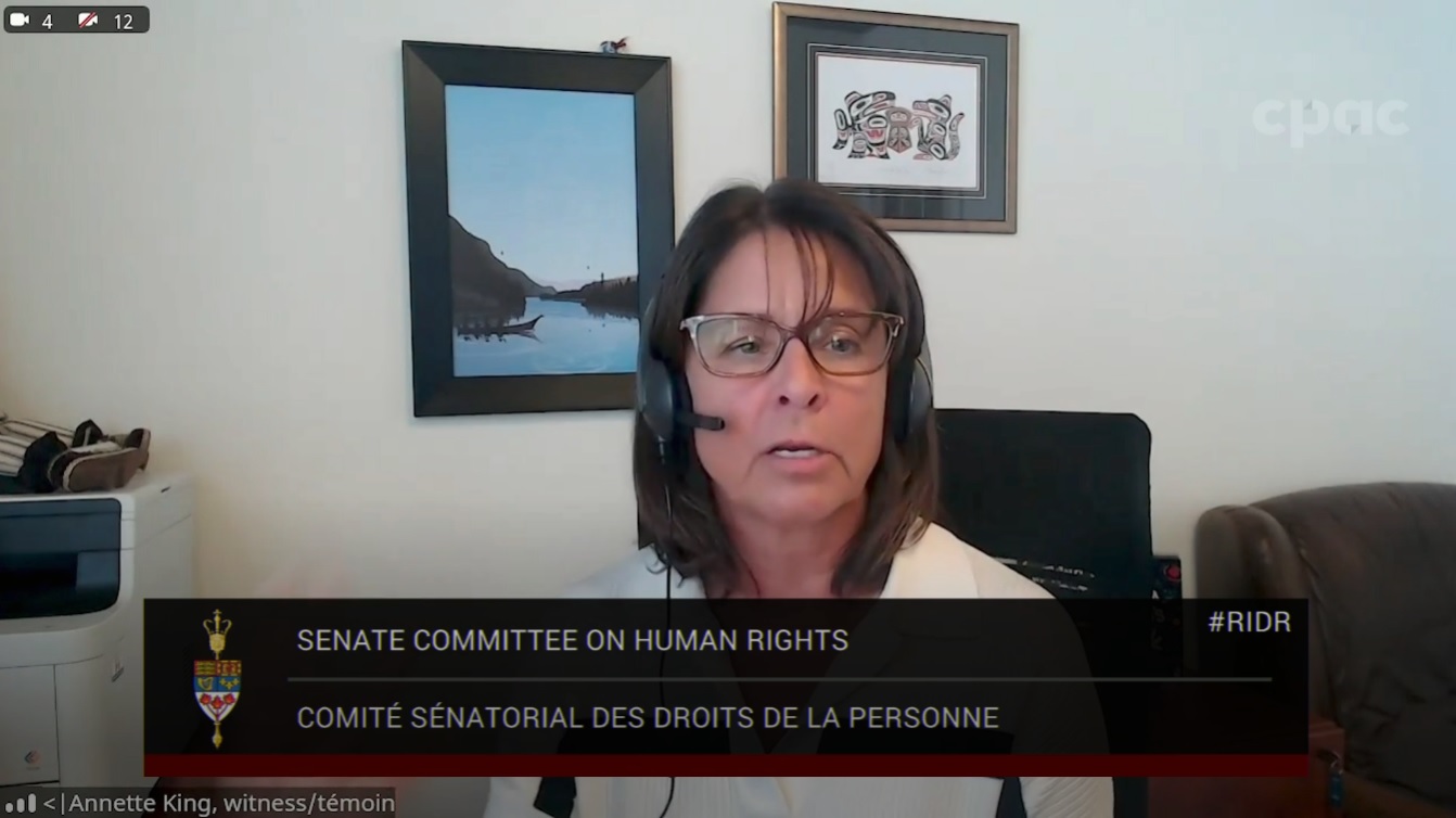 In Committee from the Senate of Canada : Human Rights – November 4, 2024