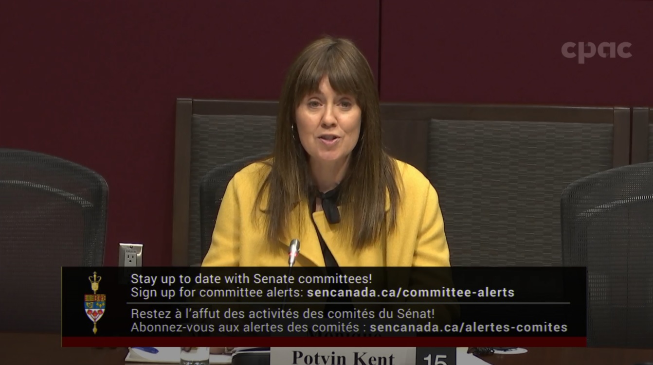 In Committee from the Senate of Canada : Social Affairs, Science and Technology – November 20, 2024