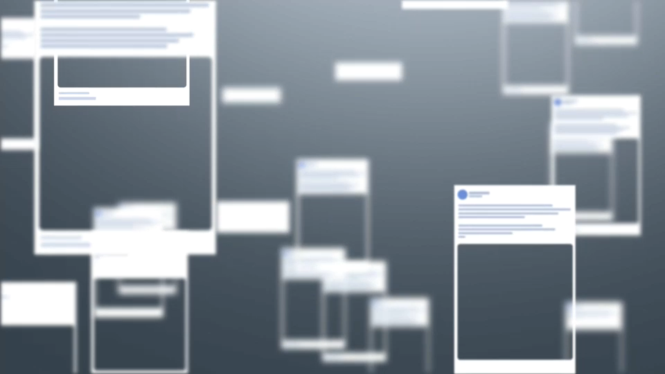 Disinformation and Democracy : What challenges do fact-checkers face in the age of misinformation ?