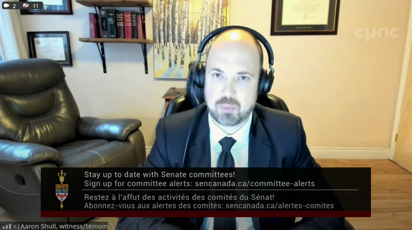 In Committee from the Senate of Canada : National Security, Defence and Veterans Affairs – November 4, 2024