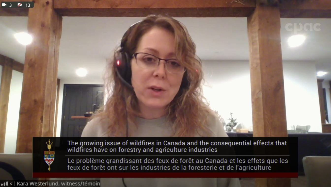 In Committee from the Senate of Canada : Agriculture and Forestry – November 28, 2024