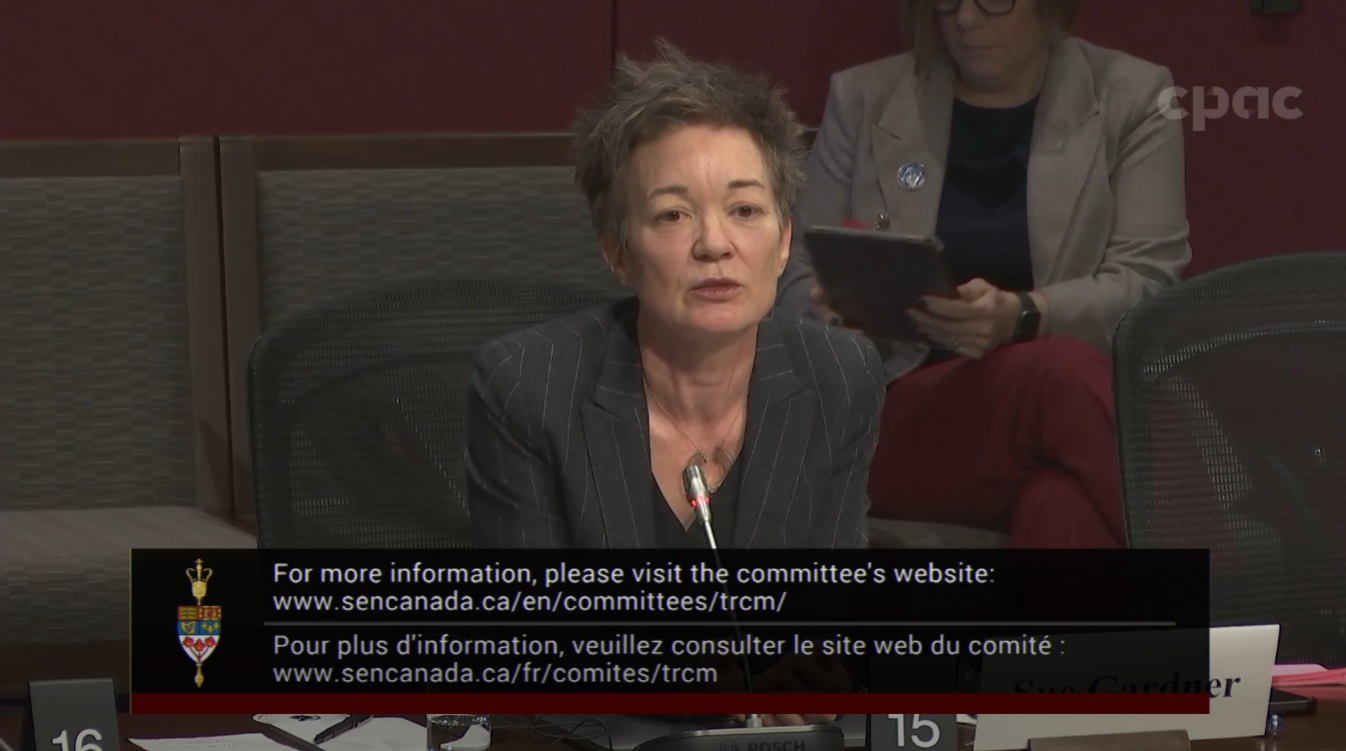 In Committee from the Senate of Canada : Transport and Communications – November 19, 2024