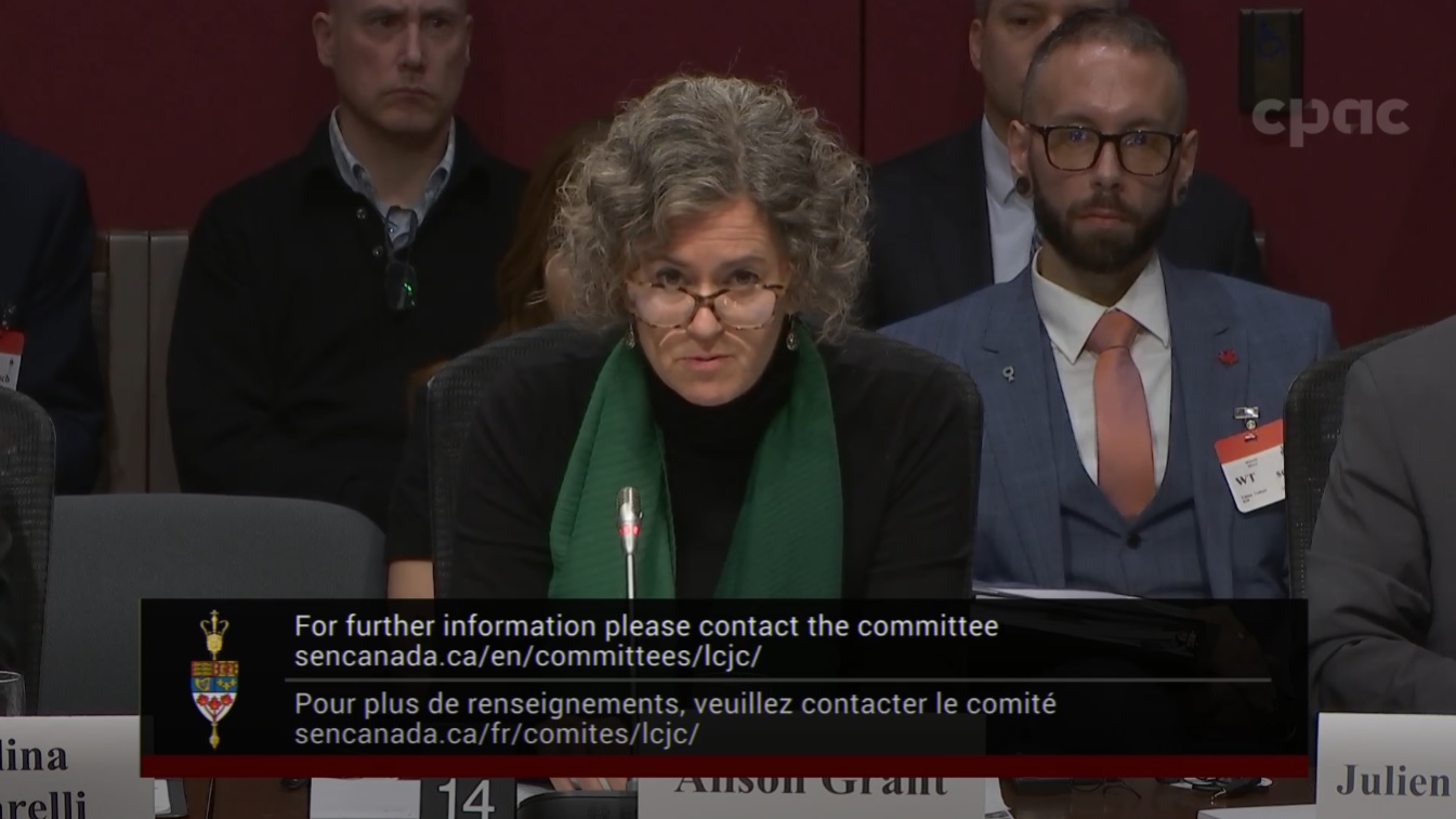 In Committee from the Senate of Canada : Legal and Constitutional Affairs – November 28, 2024