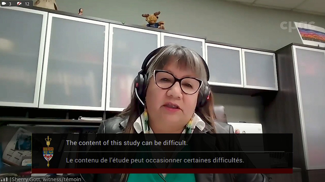 In Committee from the Senate of Canada : Human Rights – November 18, 2024