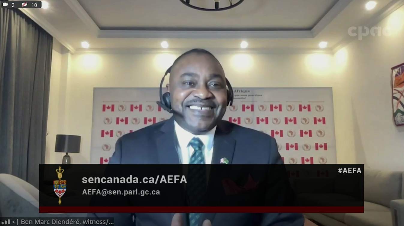 In Committee from the Senate of Canada : Foreign Affairs and International Trade – November 28, 2024