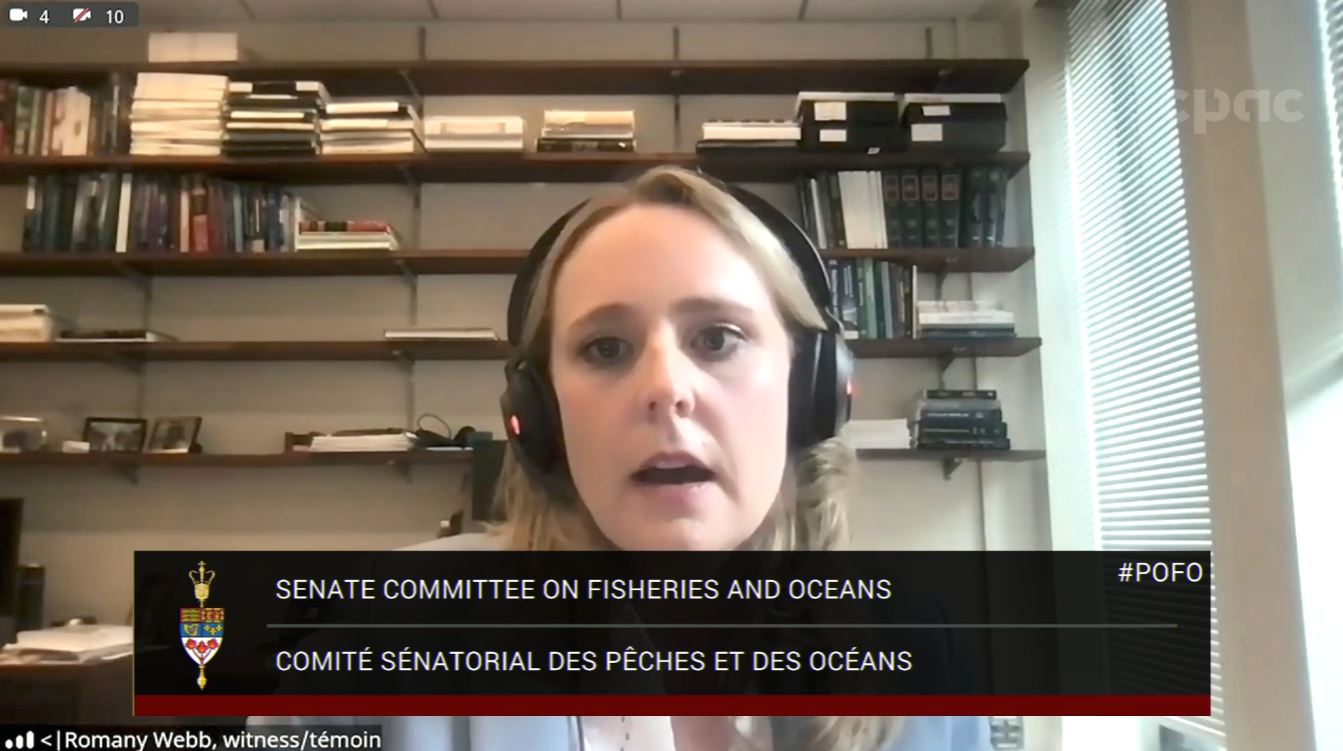 In Committee from the Senate of Canada : Fisheries and Oceans – December 5, 2024