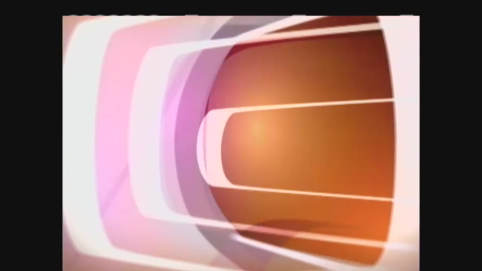 Revue politique : 17 juin 2004