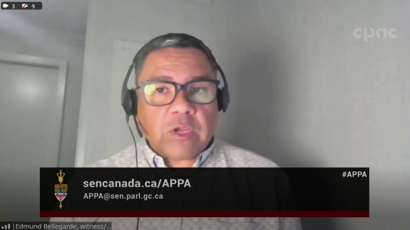 In Committee from the Senate of Canada : Indigenous Peoples – December 3, 2024