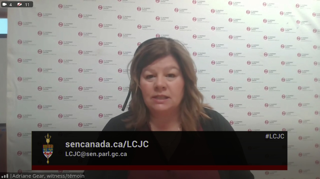 In Committee from the Senate of Canada : Legal and Constitutional Affairs – December 4, 2024