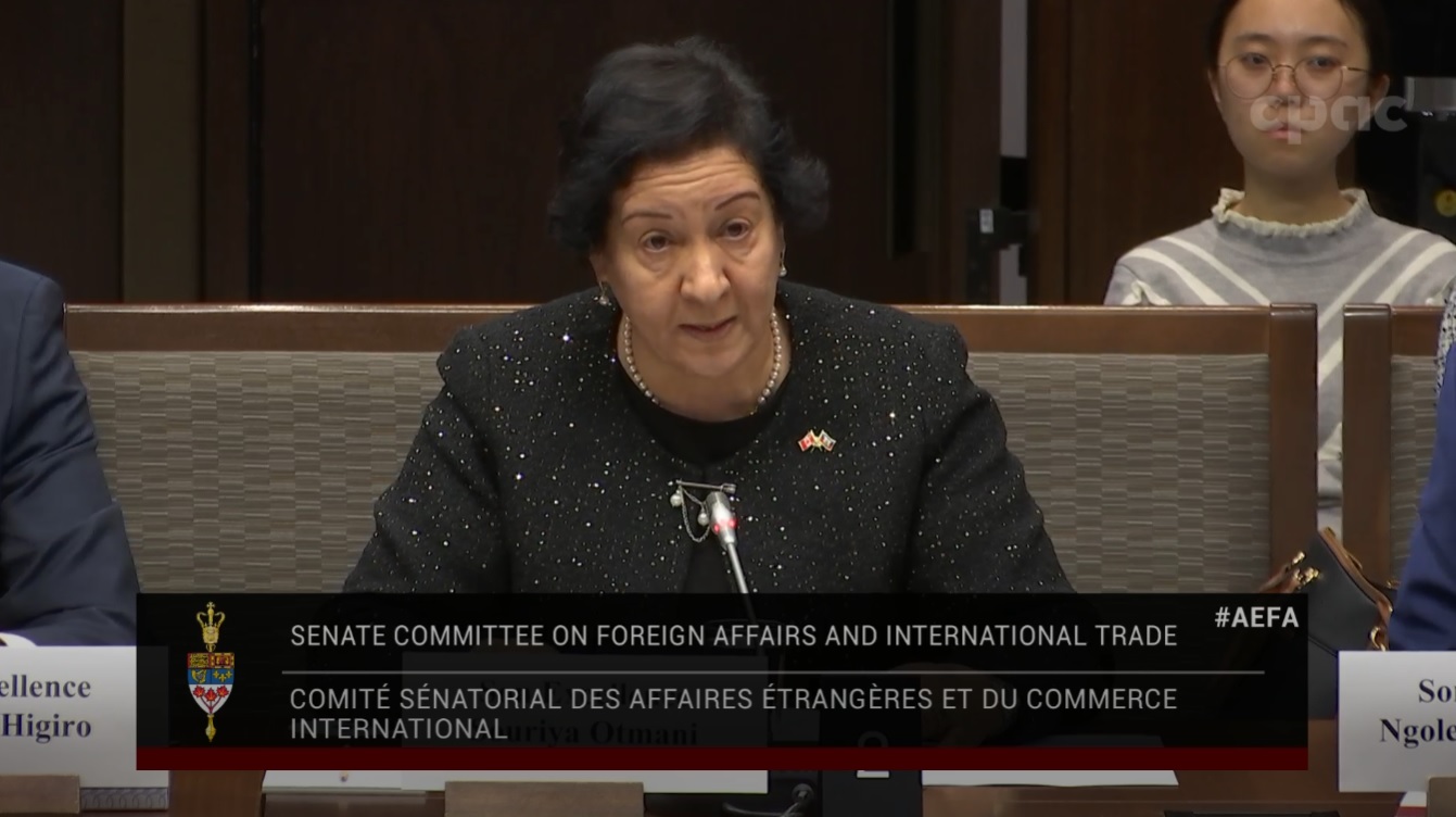 In Committee from the Senate of Canada : Foreign Affairs and International Trade – December 11, 2024