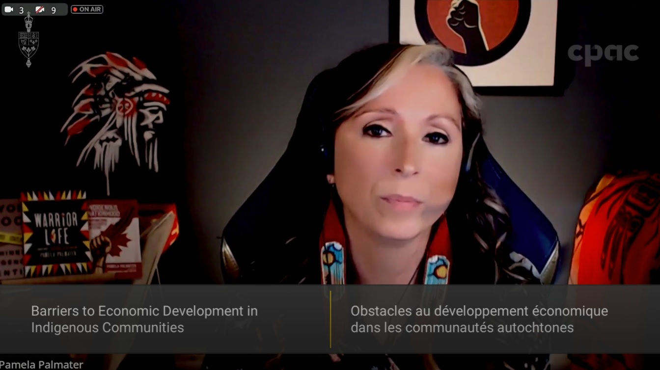 In Committee from the House of Commons : Indigenous and Northern Affairs – December 12, 2024