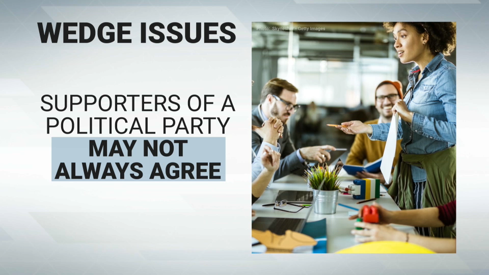 Wedge Issue - Campaign Slang - CPAC.ca