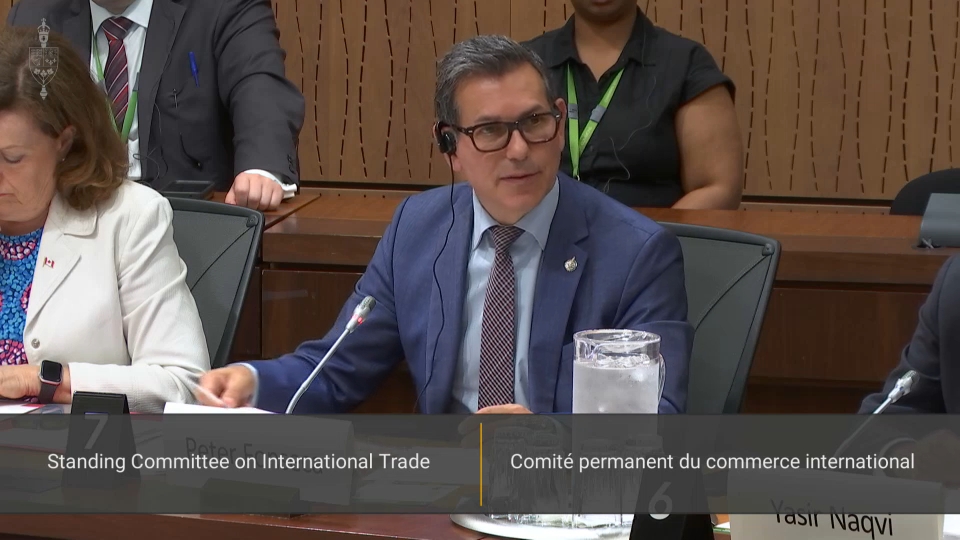 In Committee from the House of Commons : International Trade – June 16, 2025