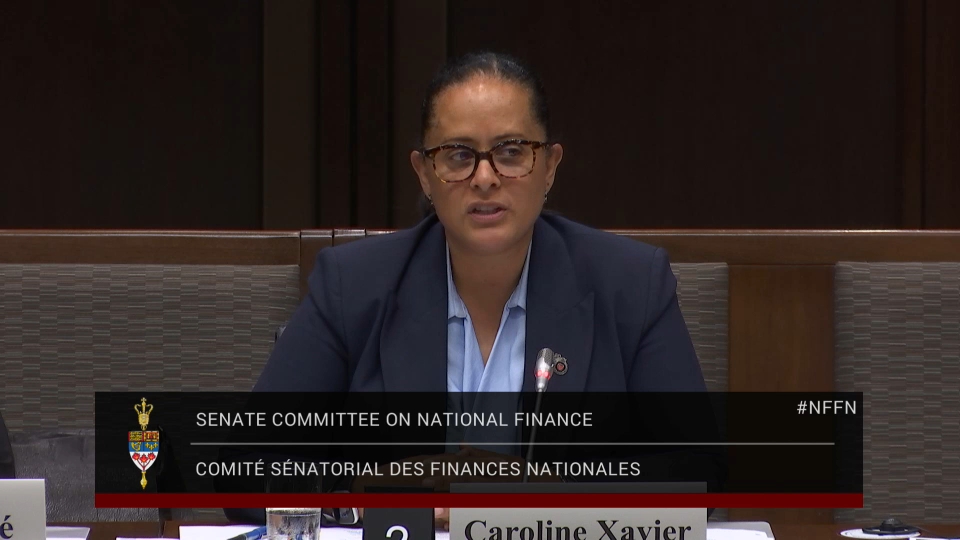 In Committee from the Senate of Canada : National Finance – June 19, 2025