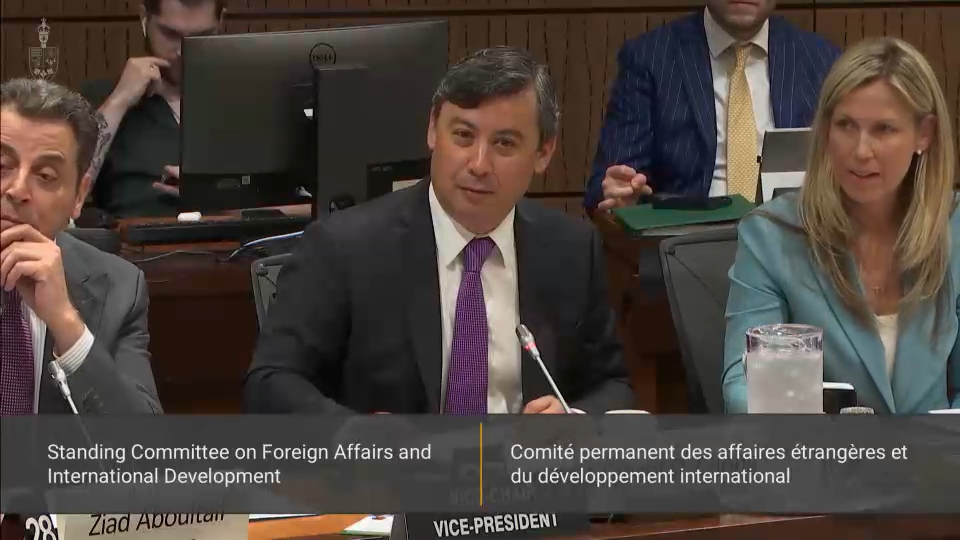 In Committee from the House of Commons : Foreign Affairs and International Development – June 17, 2025