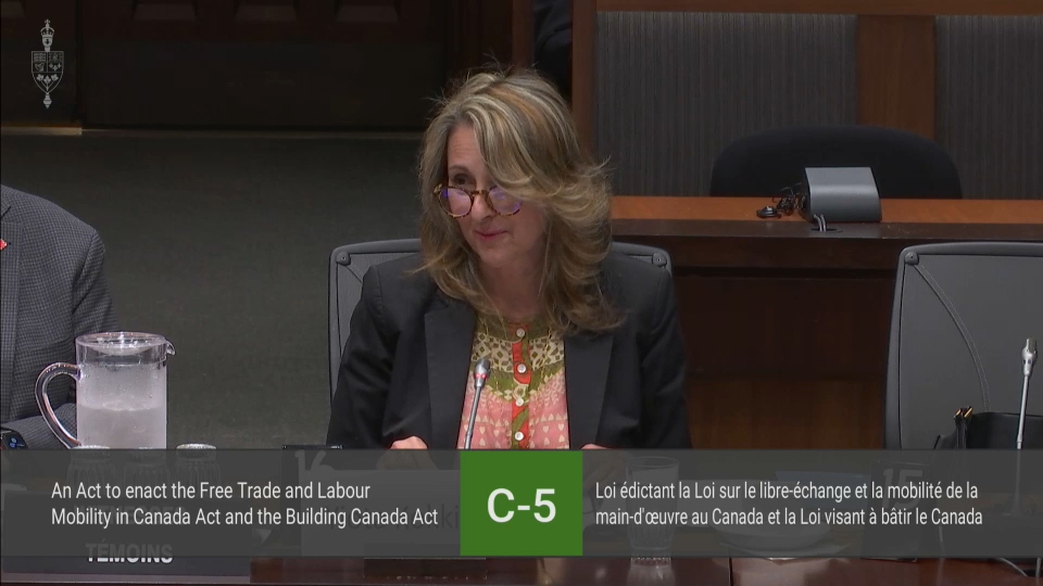 In Committee from the House of Commons : Transport, Infrastructure and Communities – June 17, 2025