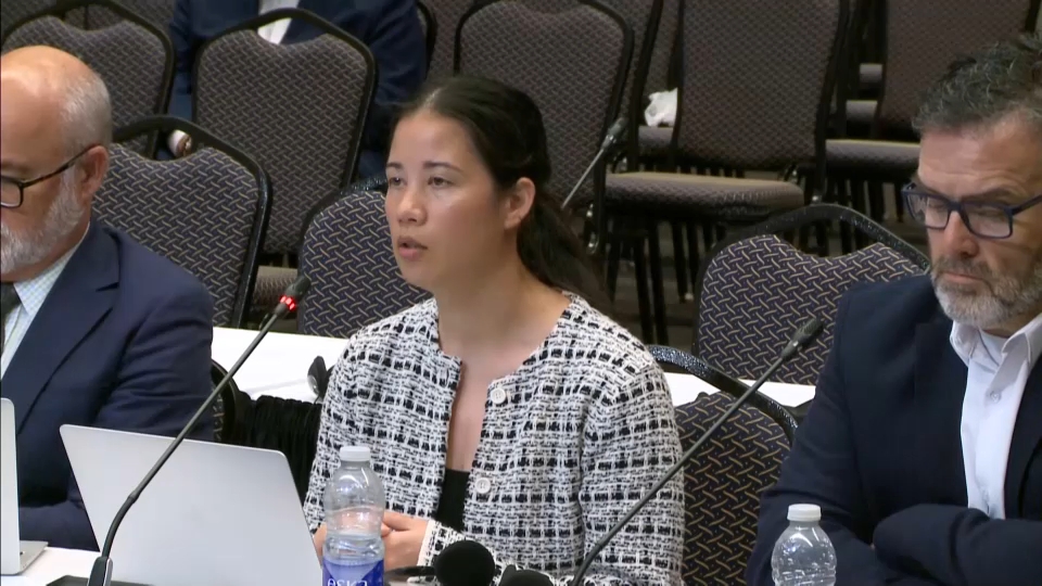 Audiences du CRTC : 3 juillet 2025 – CHEK Media Group, Channel Zero Inc., LITS