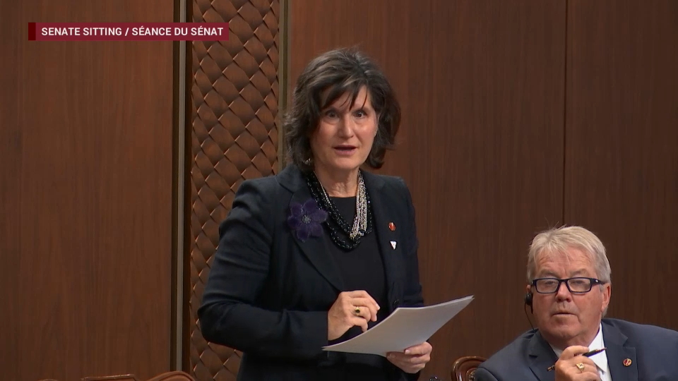 Senate Proceedings : October 29, 2025