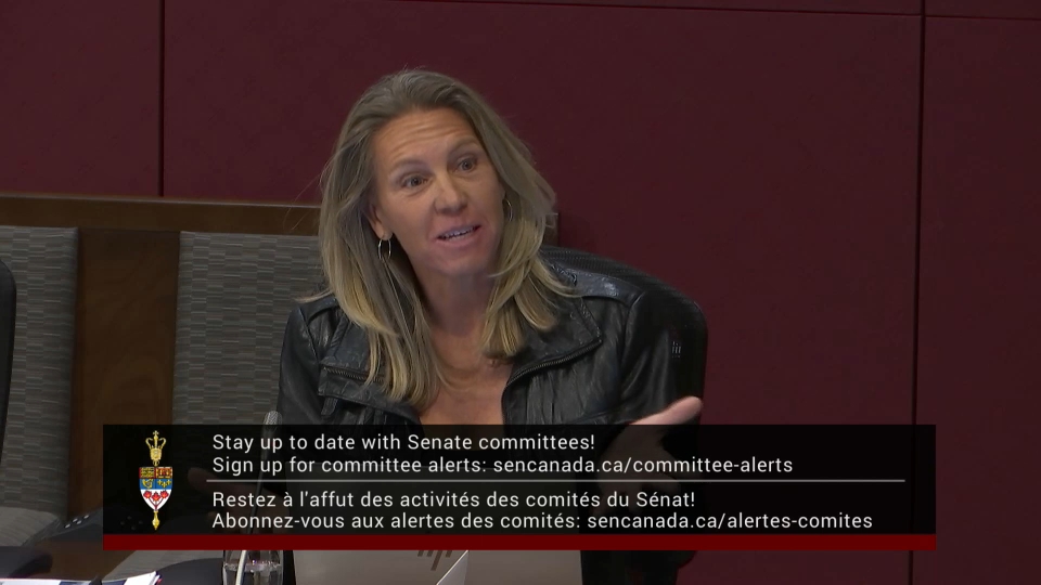 In Committee from the Senate of Canada : Standing Committee on Audit and Oversight – October 29, 2025