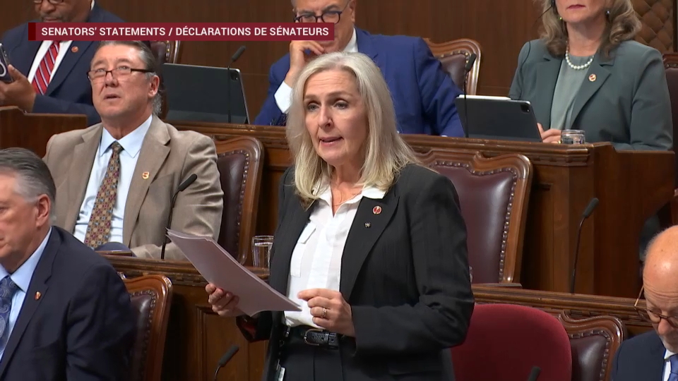 Délibérations du Sénat : 28 octobre 2025