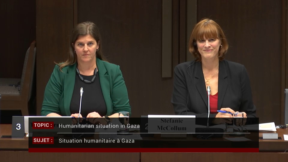 In Committee from the Senate of Canada : Foreign Affairs and International Trade – October 8, 2025