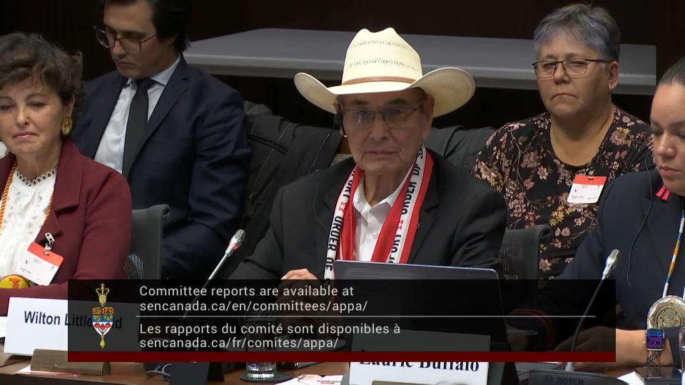 In Committee from the Senate of Canada : Indigenous Peoples – October 29, 2025