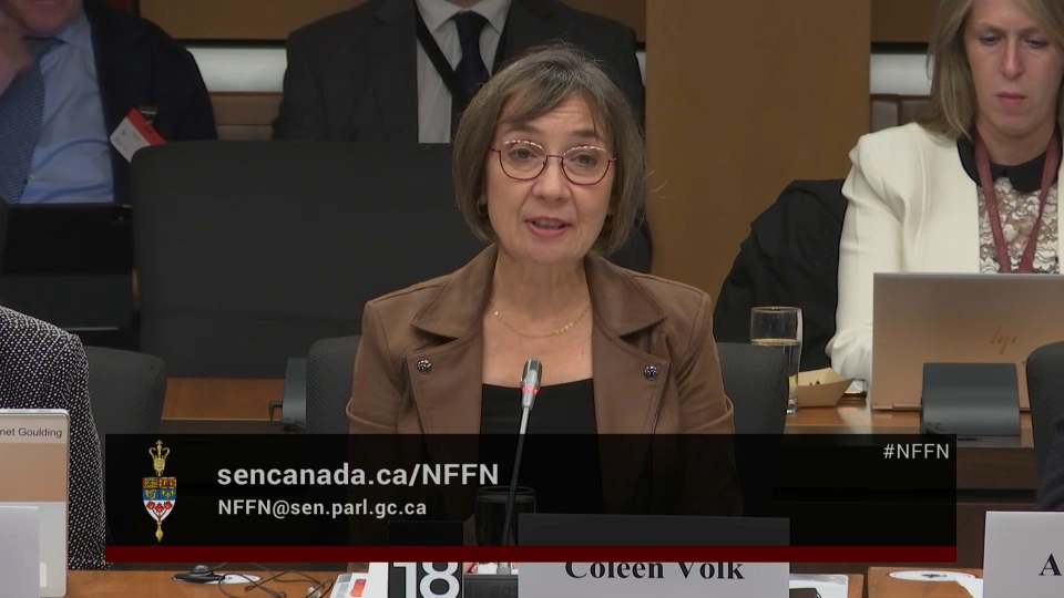 In Committee from the Senate of Canada : National Finance – October 22, 2025